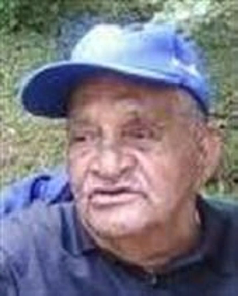 Lessie Leon Walden