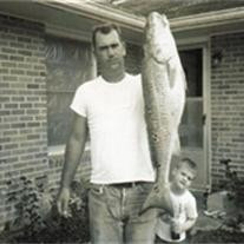 Terry Mcmillin
