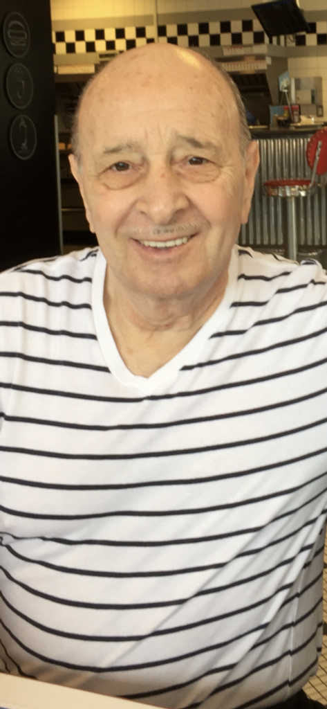 Dominick J. Vittiburga