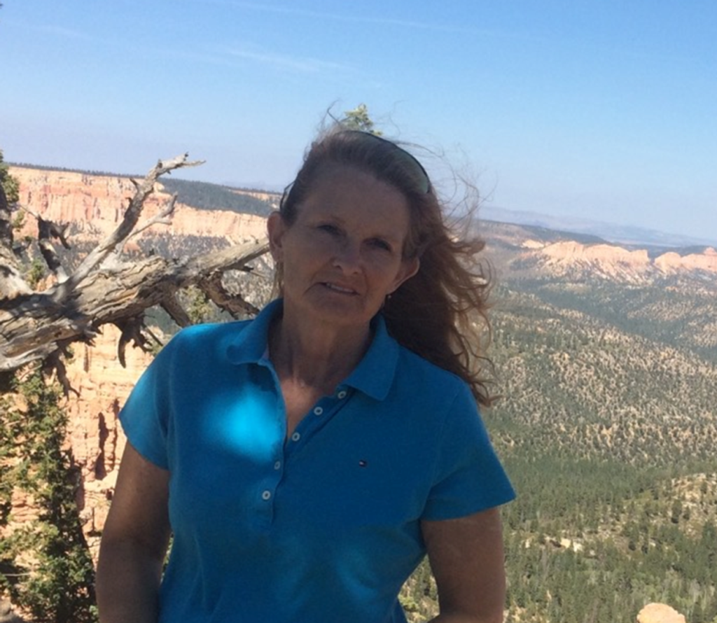 Lori Lynn (Brantman)  Anderson