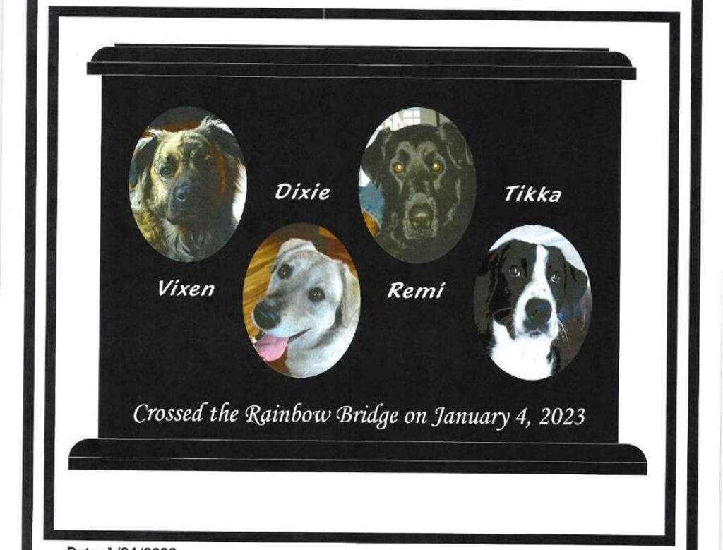 Vixen, Tikka, Remi And Dixie Baker