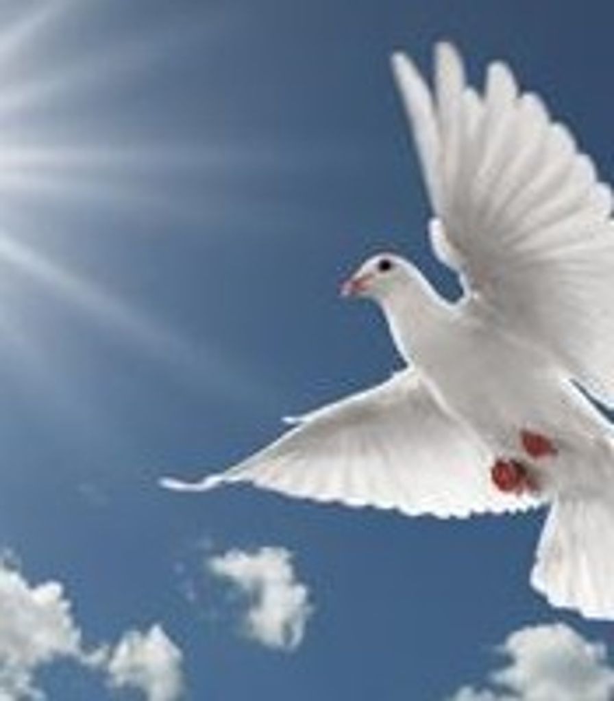 Douglas  Townsend Pitman