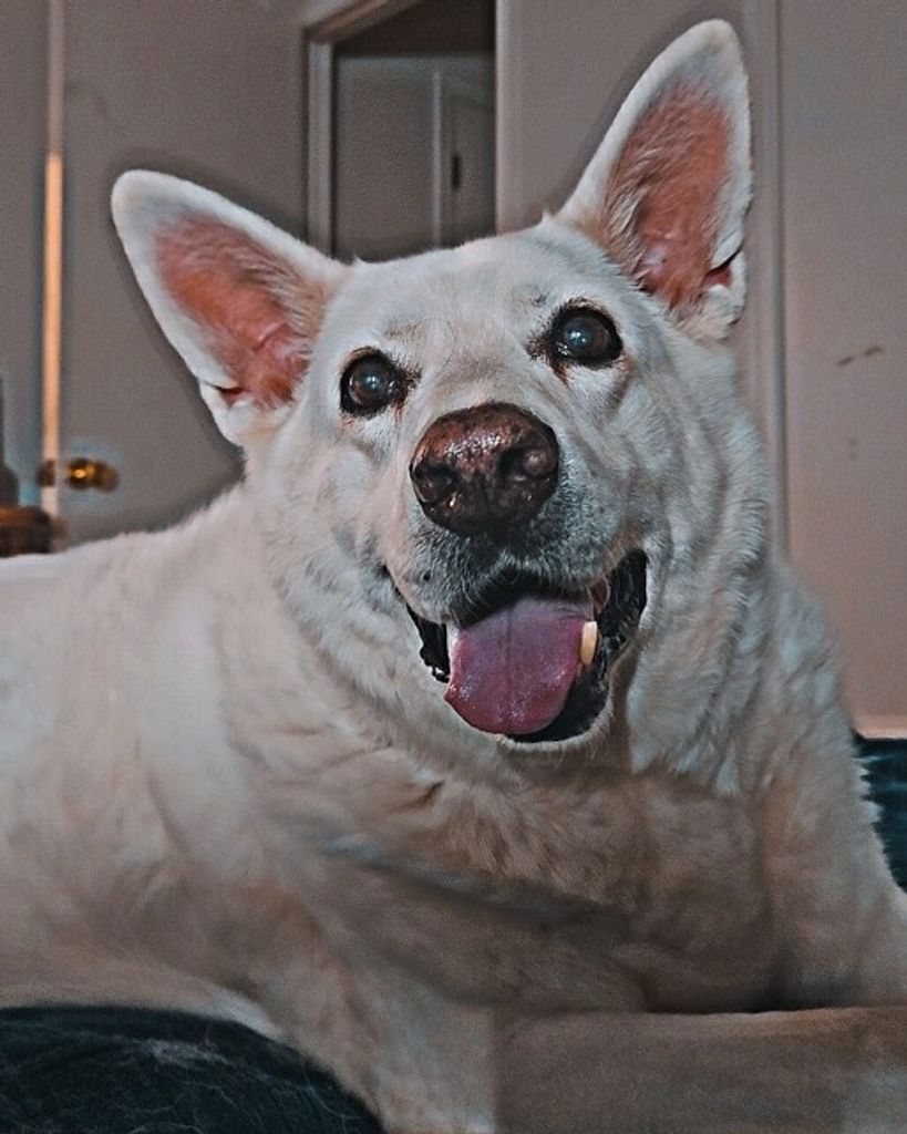 Missy