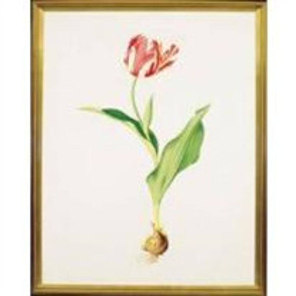 Janny (Janet) De Jonge-Hubregtse