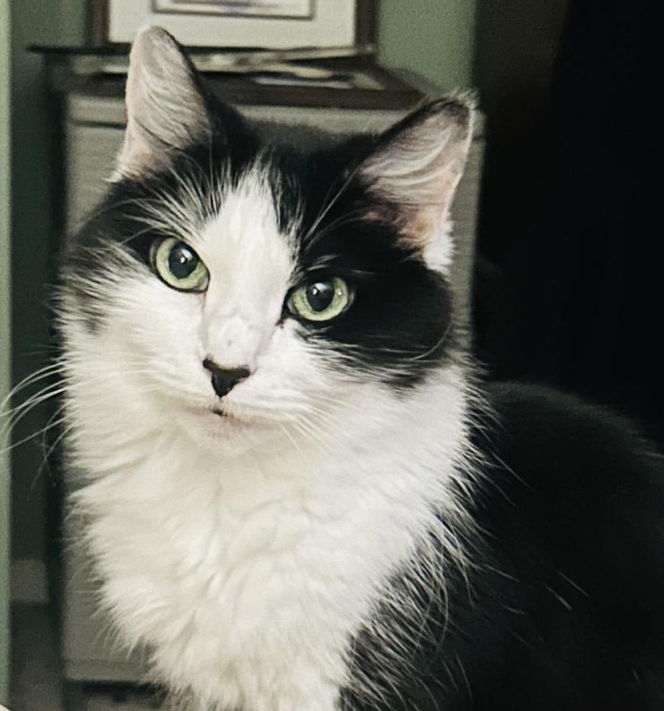 Jazzy Bandy Profile Photo