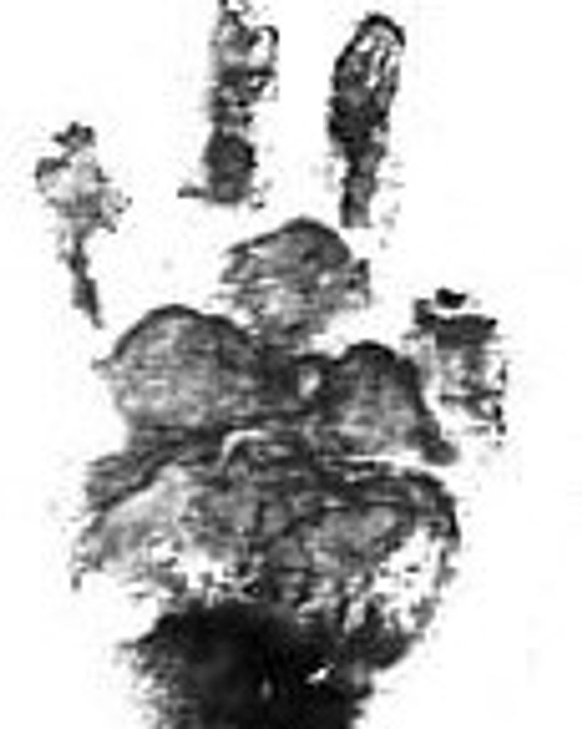 Wisteria Price Profile Photo