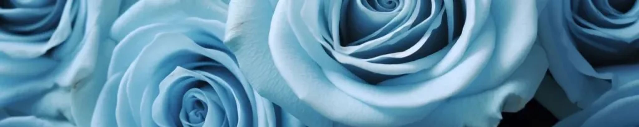 Cover for Deaconess Ethel Ross Sellers's Obituary