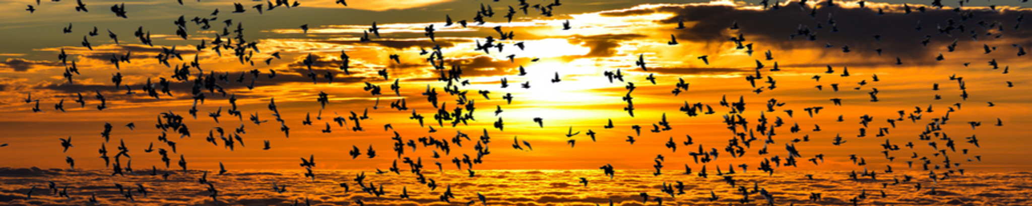 Cover photo for Paul L. Marchant's Obituary