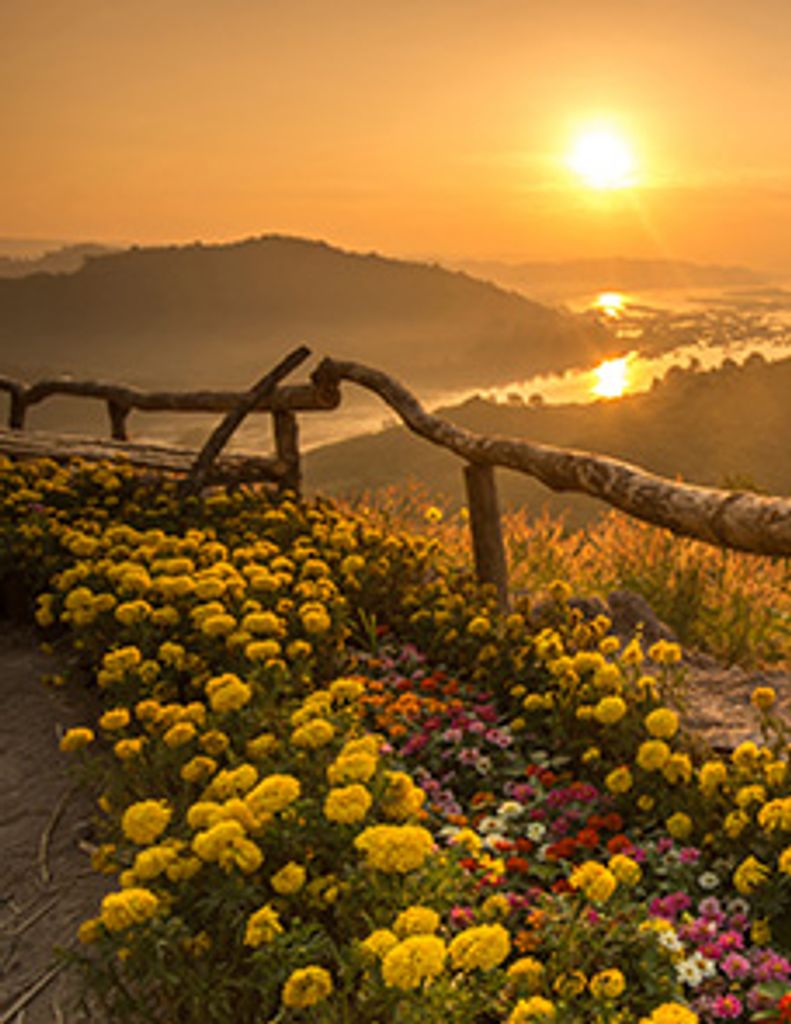 Jackie Profile Photo