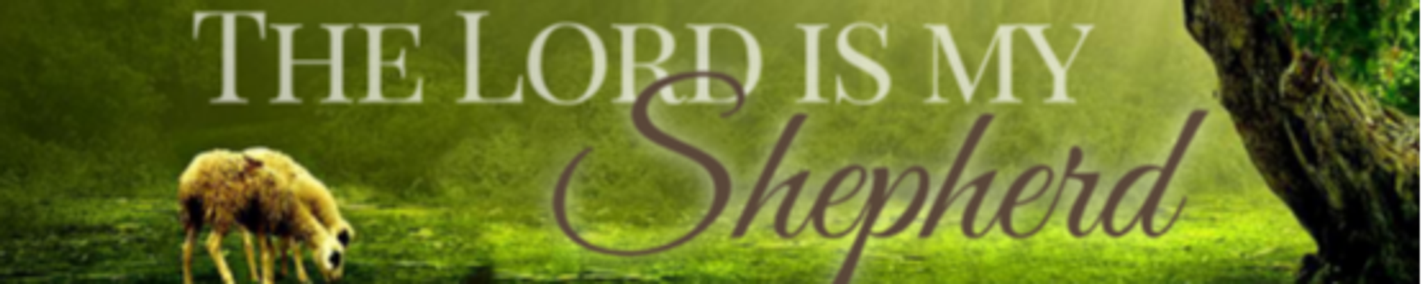 Cover for Tommy Louis Harris's Obituary