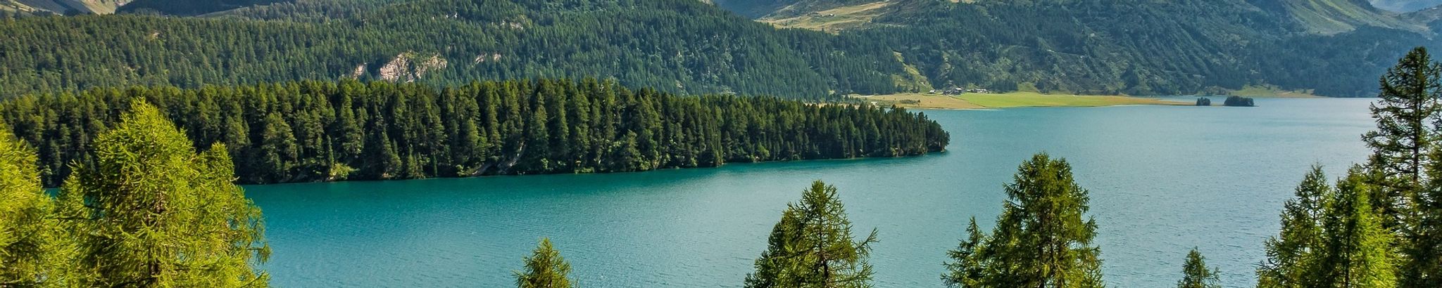 Cover for Brock August Reid's Obituary