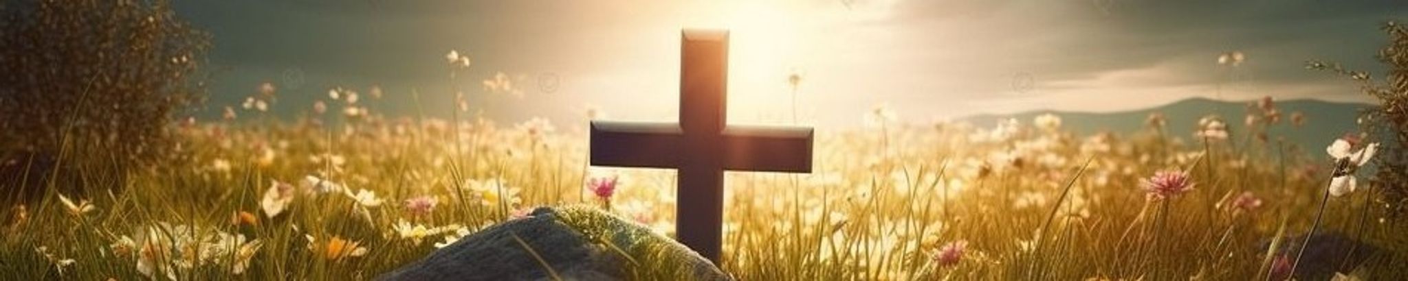 Cover photo for Sherry Allison Powell's Obituary