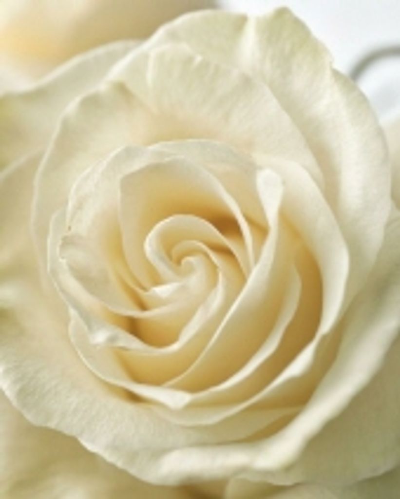 Doris Ward Hill Profile Photo