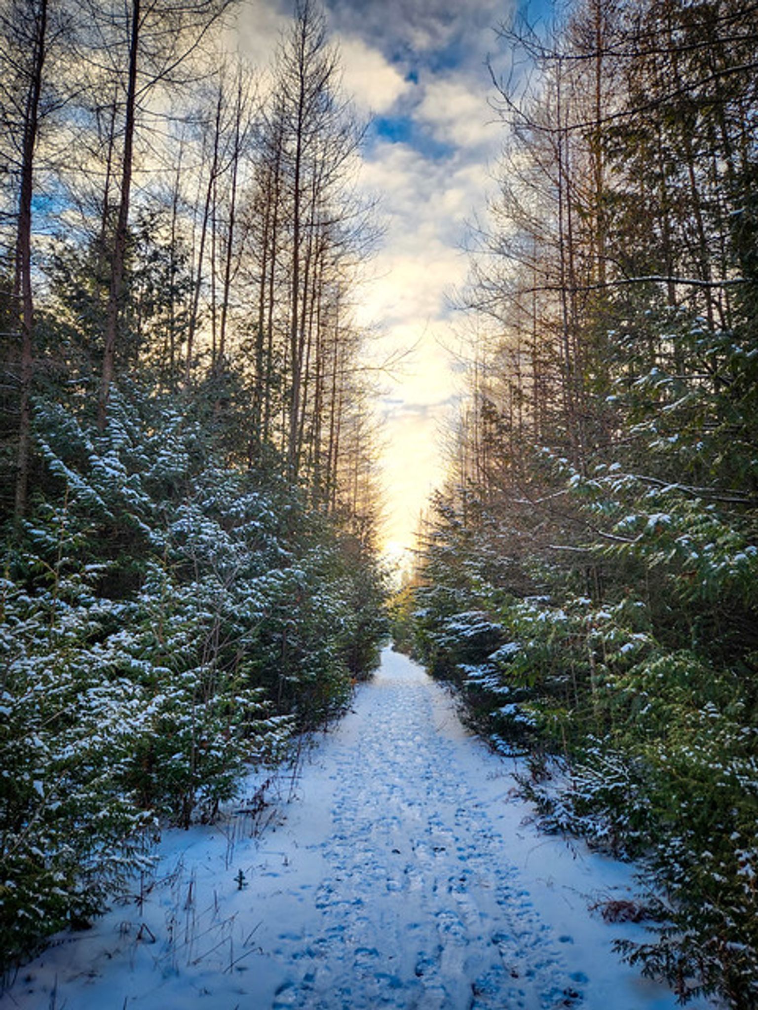 Cover for RICHARD J. ZUPANCIC, JR.'s Obituary