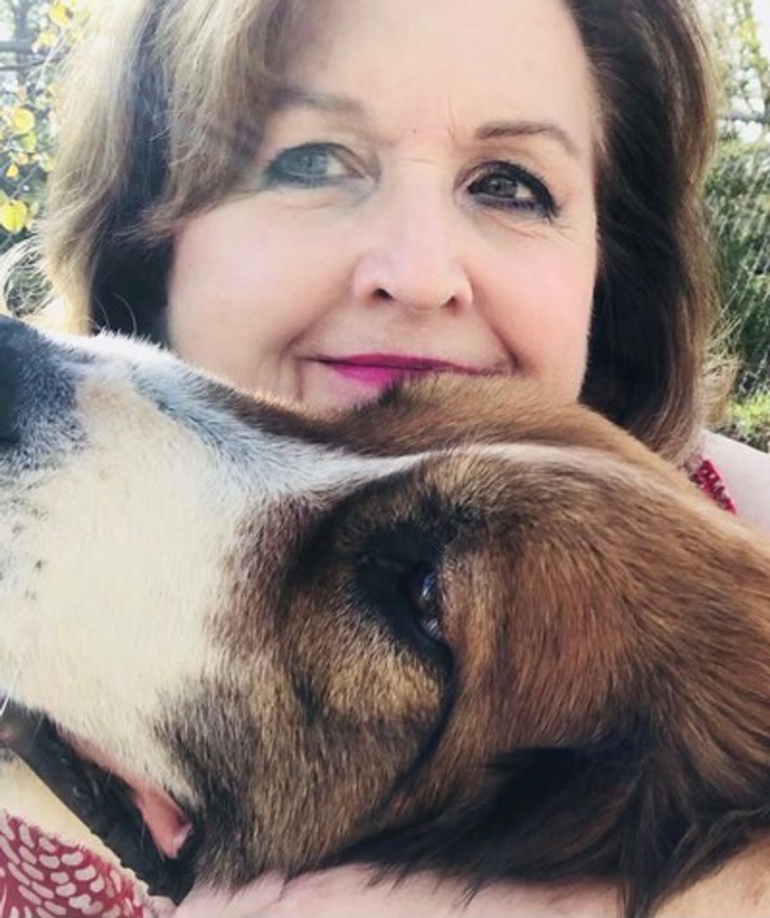 Patrice J. Mellette Profile Photo