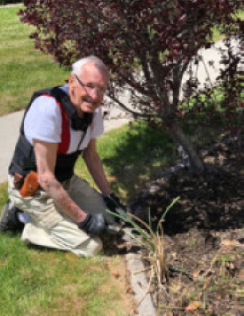 Lauren Robert Santor