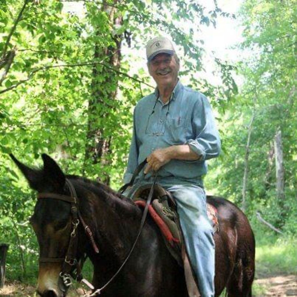 Thomas “Tommy” Littleton Powell Jr. Profile Photo