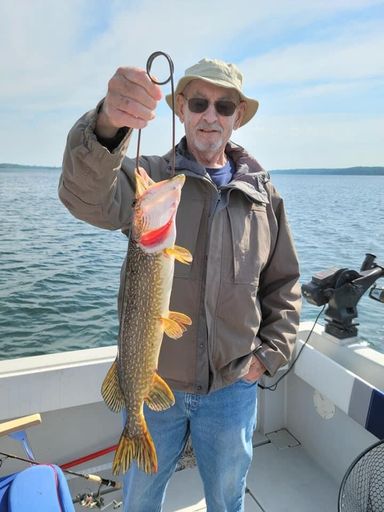 Dick photo gallery thumbnail 3 of 98