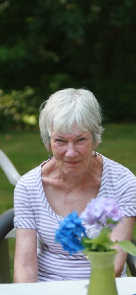 Susan J. (Jennings)  Shepard Profile Photo