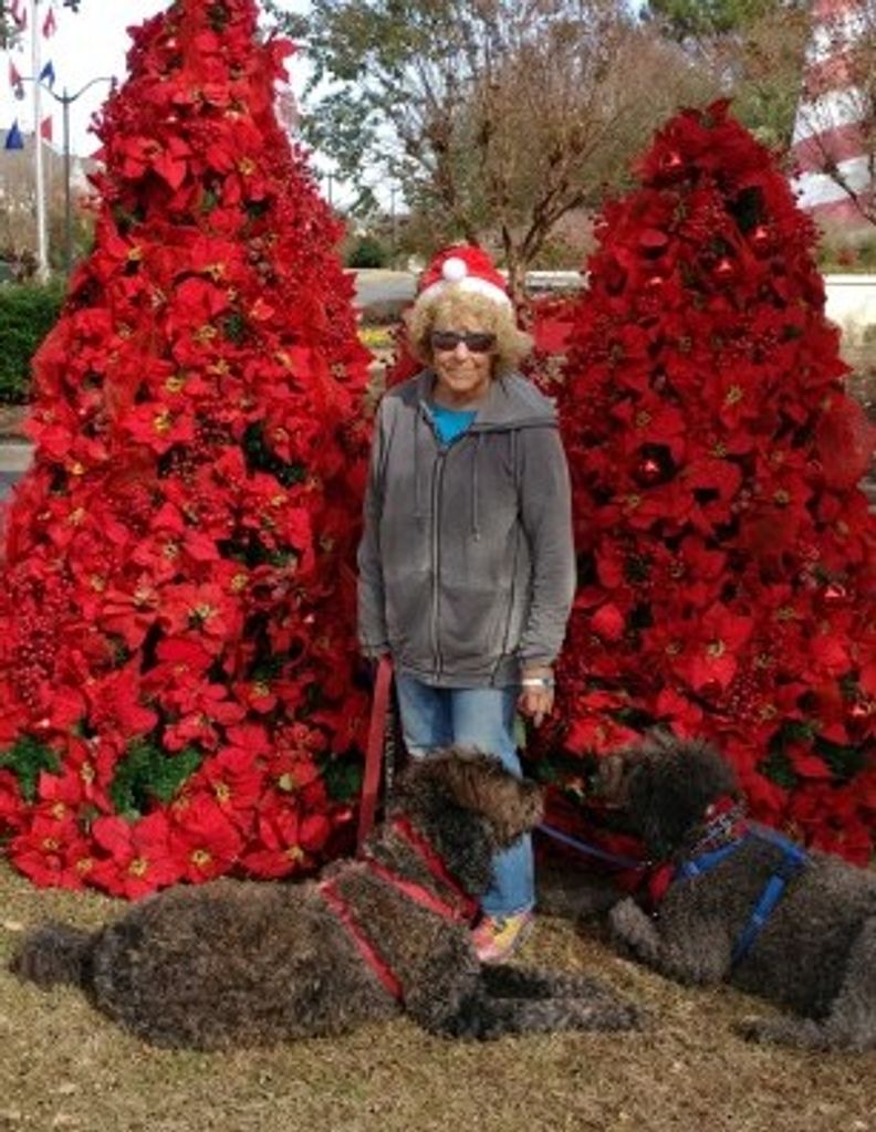 Donna Lee Ruedinger Profile Photo