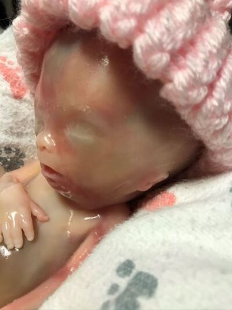 Preslee Elizabeth Graff