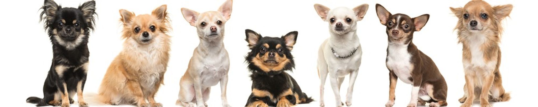 Cover for Marylou De Lourdes Atilano Galvan's Obituary