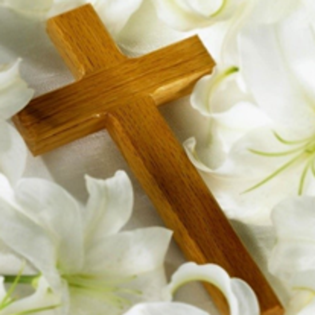 Fannie Mae Paulk Profile Photo