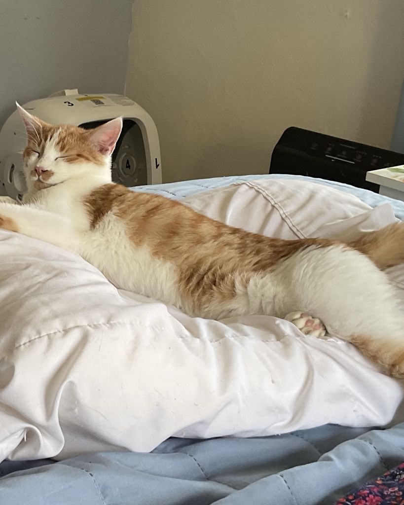 Charlie Profile Photo