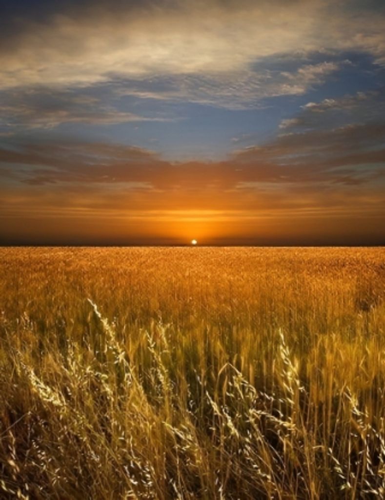 Jacob Toews Reimer Profile Photo