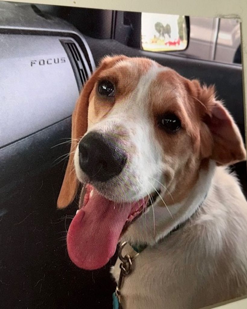 Hattie Mae Baker Profile Photo