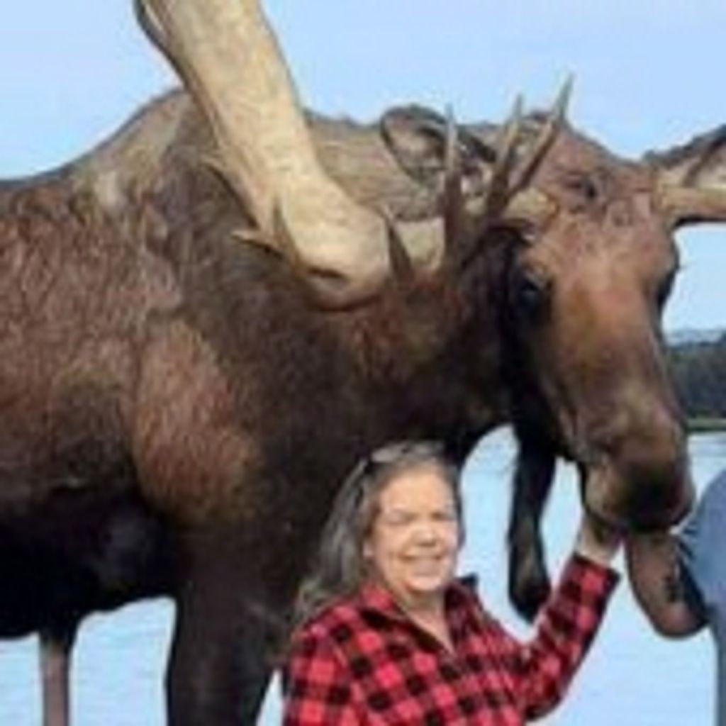 Vicki J. Hammond Profile Photo