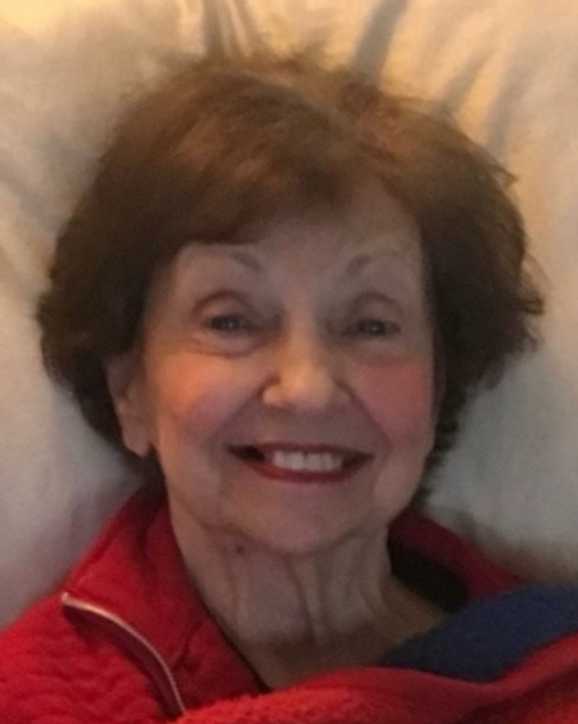 Elaine J Klee