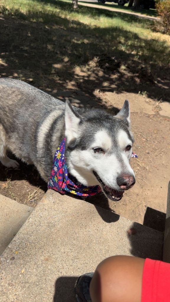 Tundra Hernandez Profile Photo