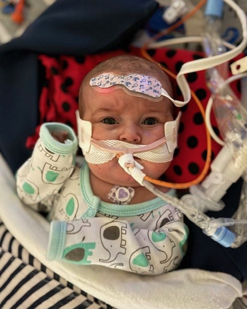 James Jacob Matthew Crouch Profile Photo