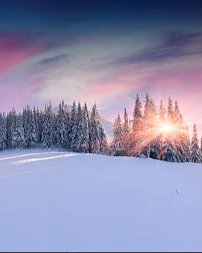 Mary Pearl Lancaster Profile Photo