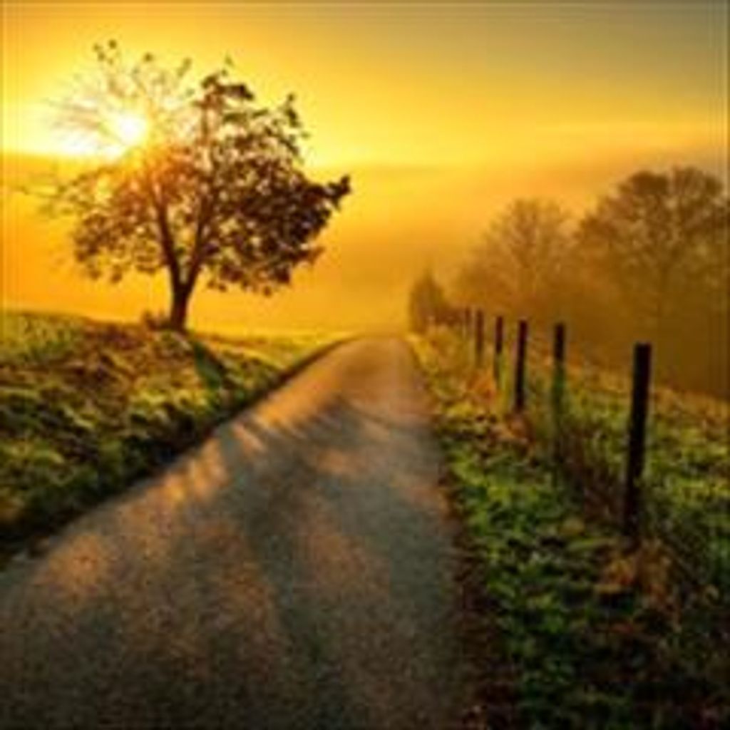 John R. "Buddy" Lewis Profile Photo