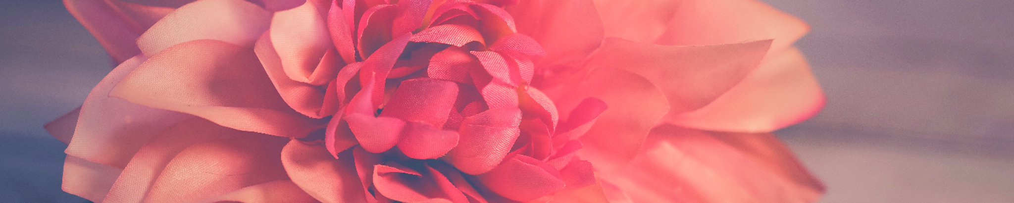 Cover photo for Diana Martin's Obituary