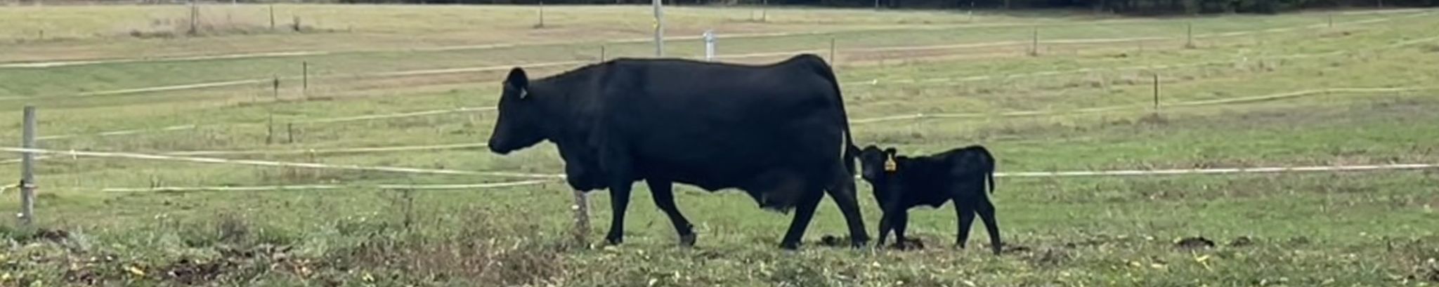 Cover for Duane "Doc" Lee Schroeder's Obituary