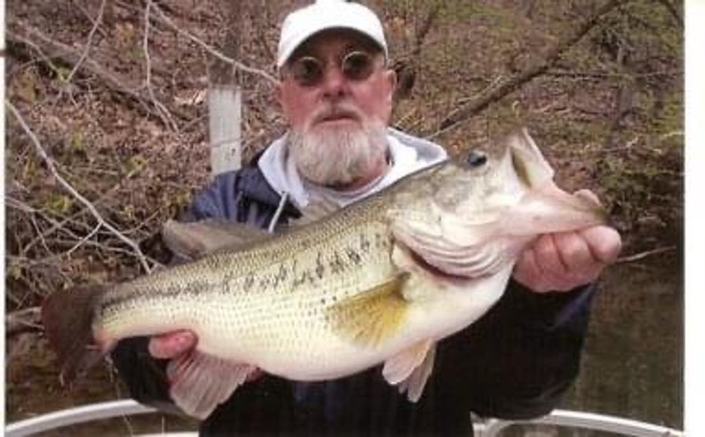 David Lee Hamil Profile Photo