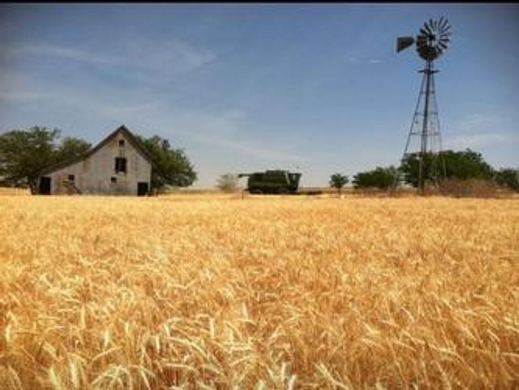 Francis "Junior" Drimmel Profile Photo