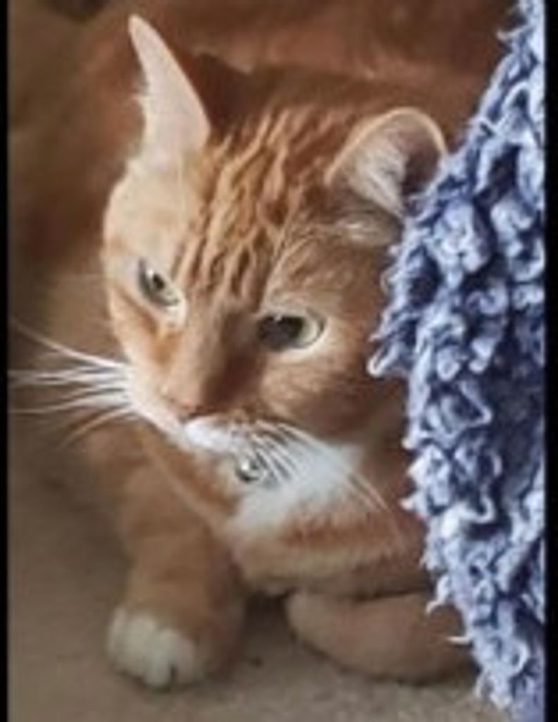 Opti Main Profile Photo
