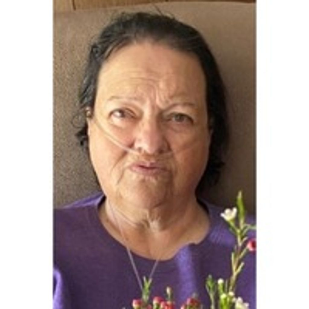 Maria F. Macedo Profile Photo