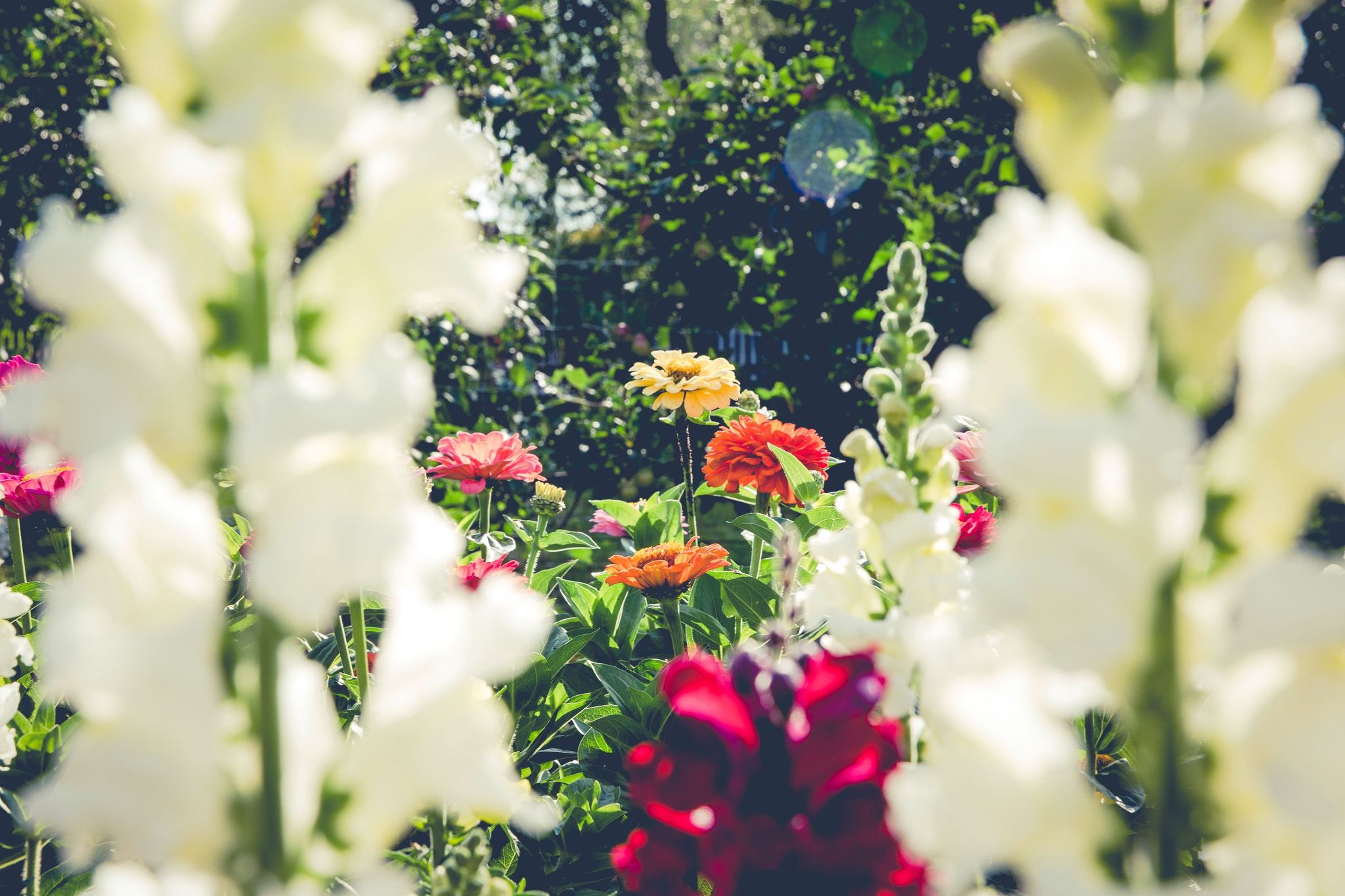 Cover photo for Kimberley Ann Heller's Obituary