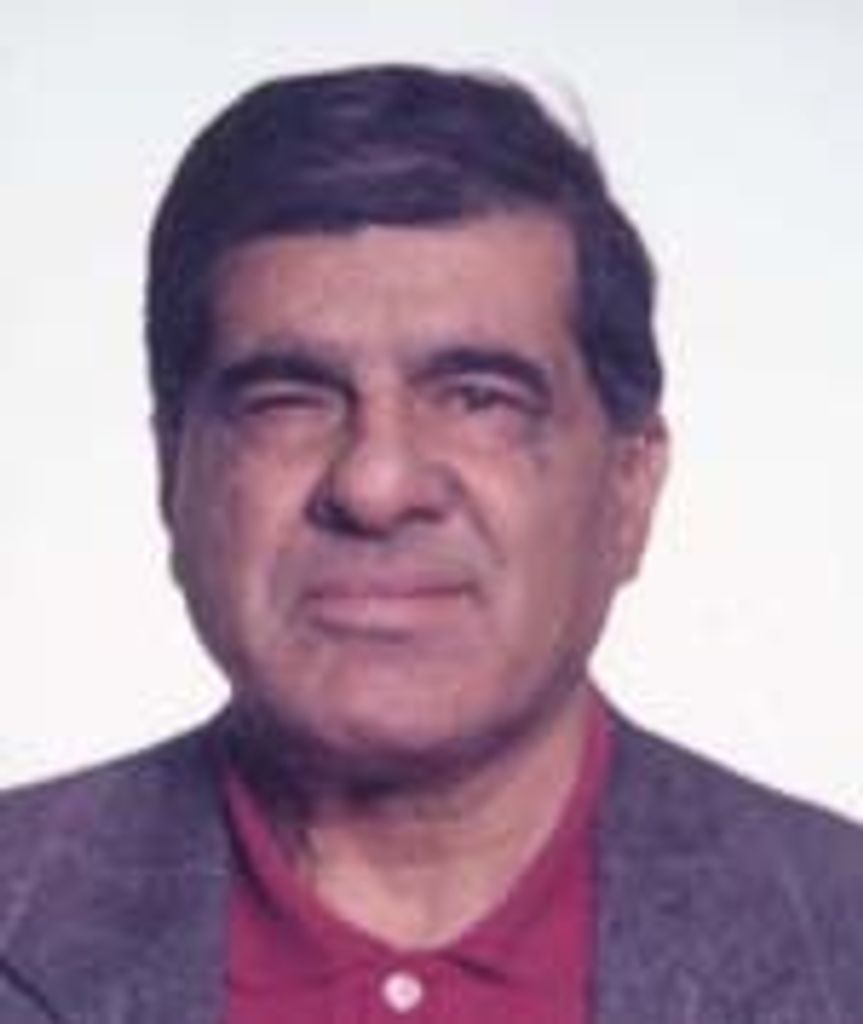 Michel R. Ramia