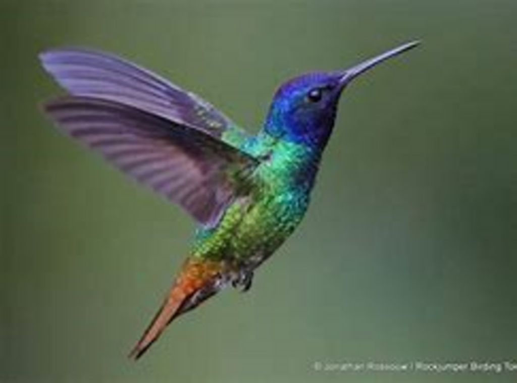 Emma Jean Slusher Profile Photo