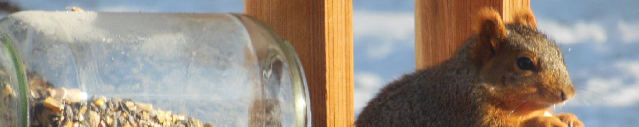 Cover photo for Barbara Nixon's Obituary