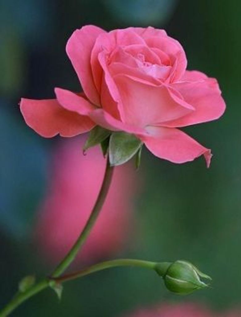 Helen Cash Dudley