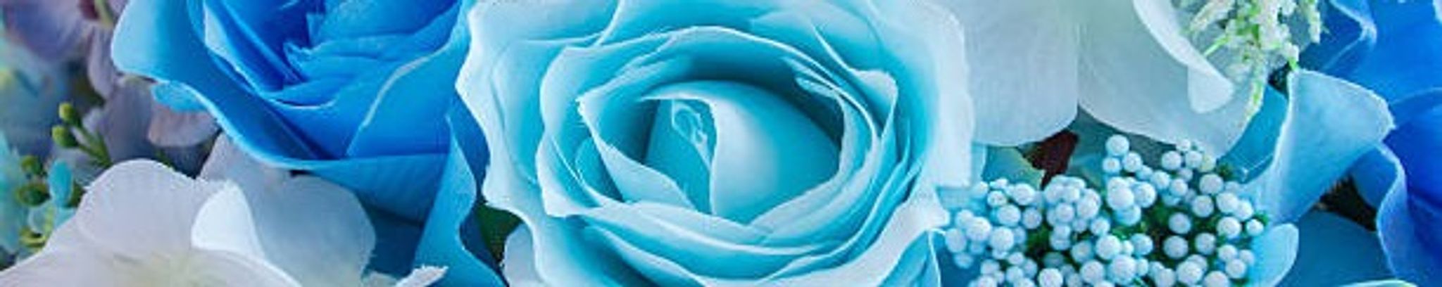 Cover photo for Bonnie Mary Jane Nahornick's Obituary