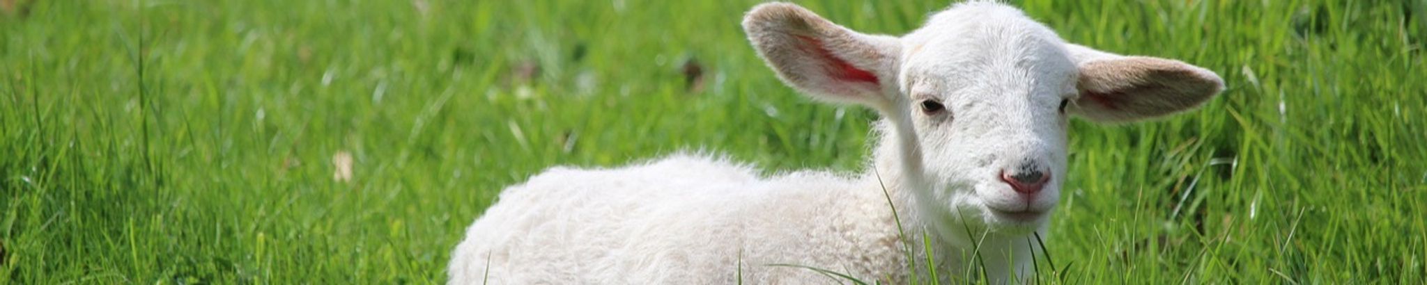 Cover for Marietta E. Miller's Obituary