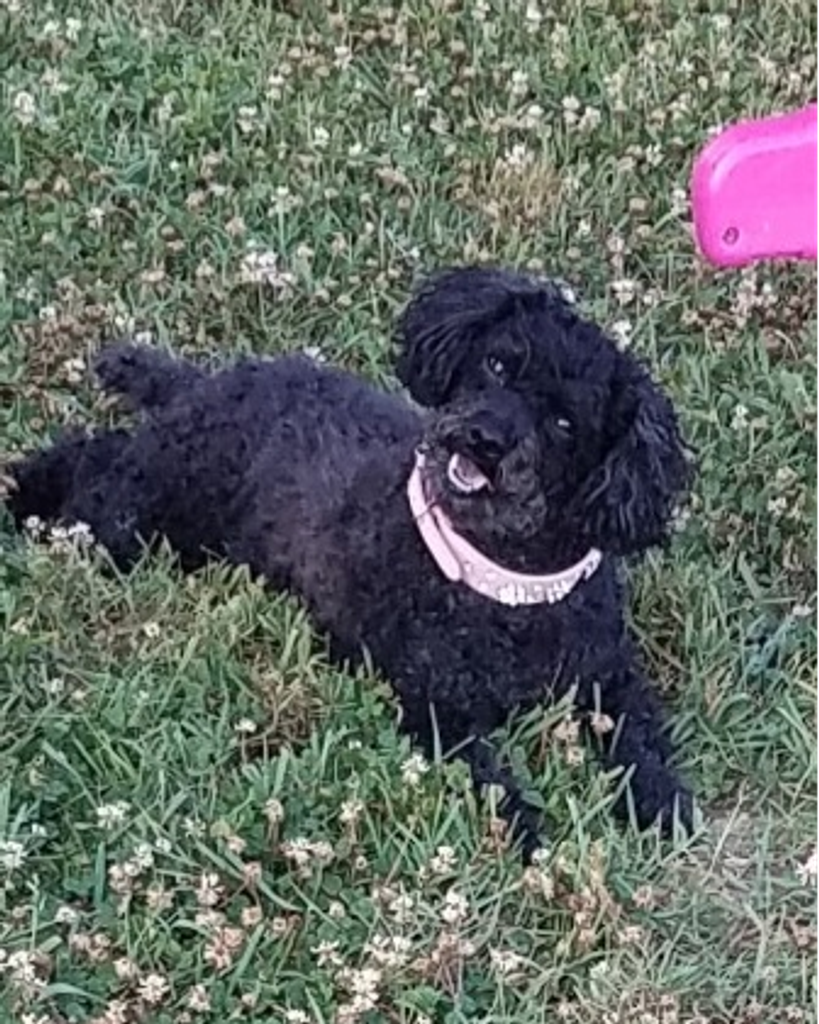 Maggie Mae Vesley Profile Photo
